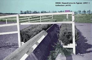 Oran- Le figuier 35a